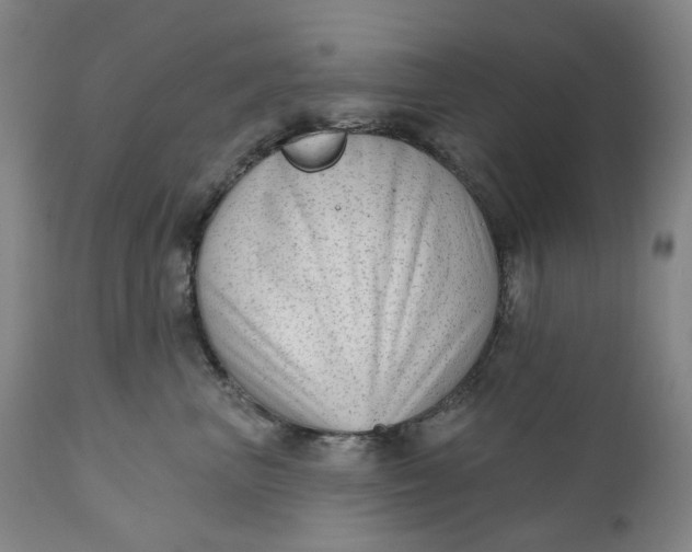 X0000111180667200907151325