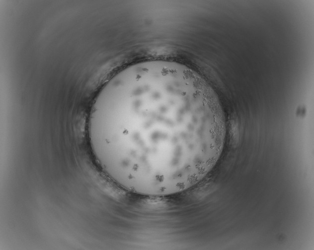 X0000111180668200907151325