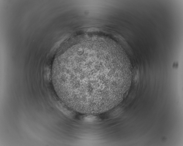 X0000111180669200907151326