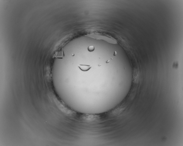 X0000111180670200907151326