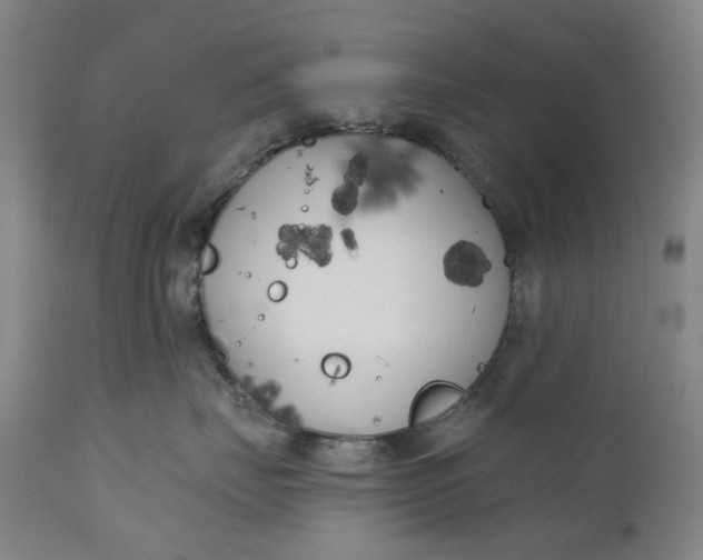 X0000111180671200907151326