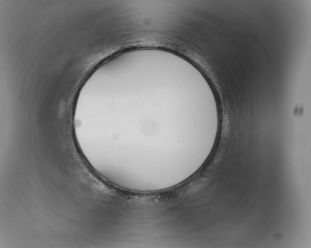 X0000111180673200907151325