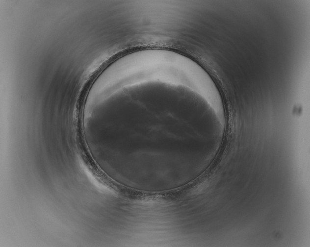 X0000111180674200907151325