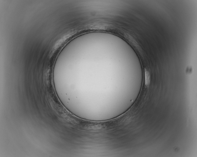 X0000111180675200907151325