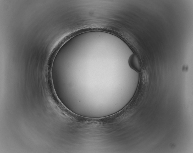 X0000111180676200907151325