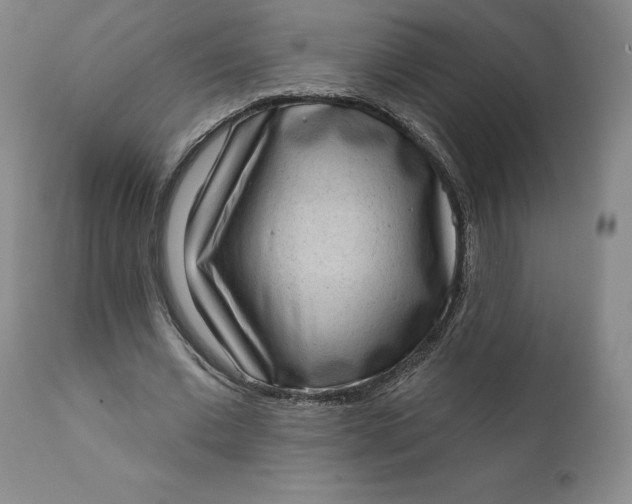 X0000111180677200907151325