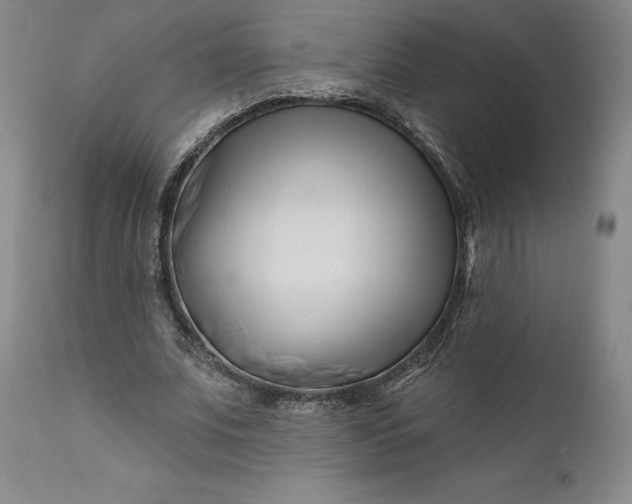 X0000111180679200907151325