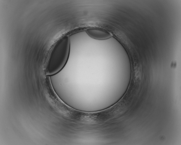 X0000111180680200907151325