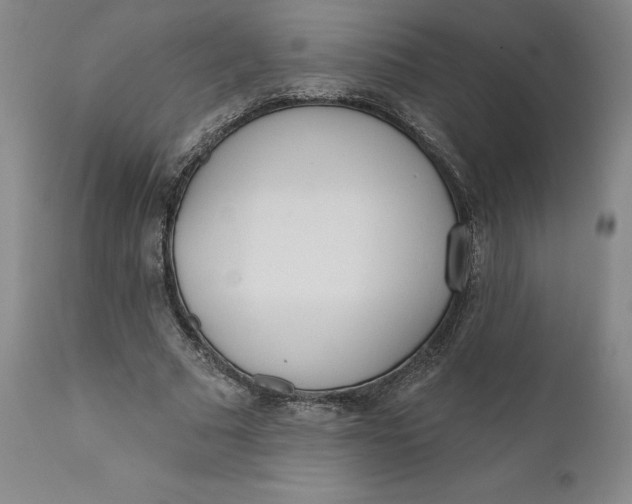 X0000111180681200907151325