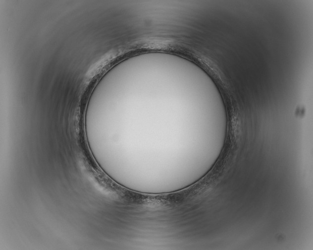 X0000111180682200907151325