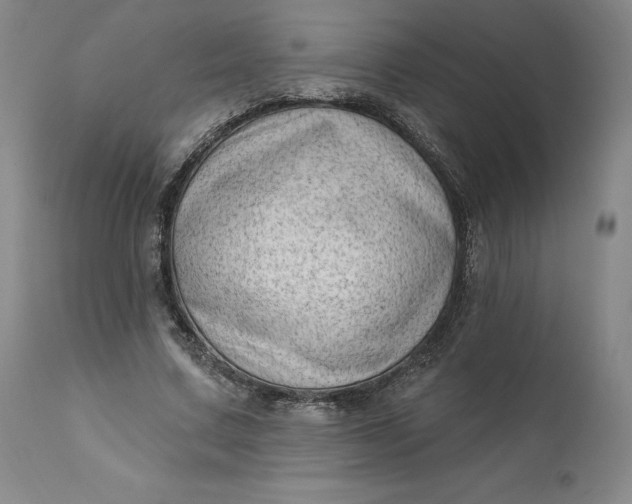 X0000111180683200907151325