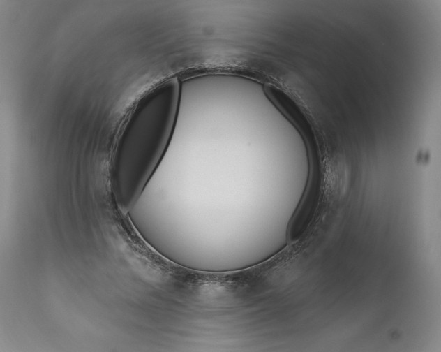 X0000111180684200907151325