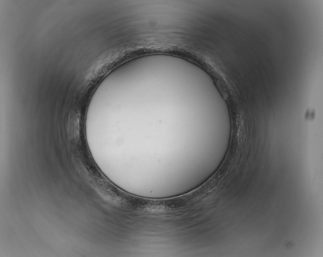 X0000111180685200907151325