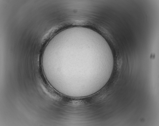 X0000111180686200907151325