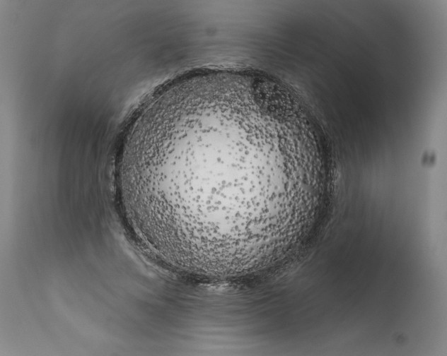 X0000111180688200907151325