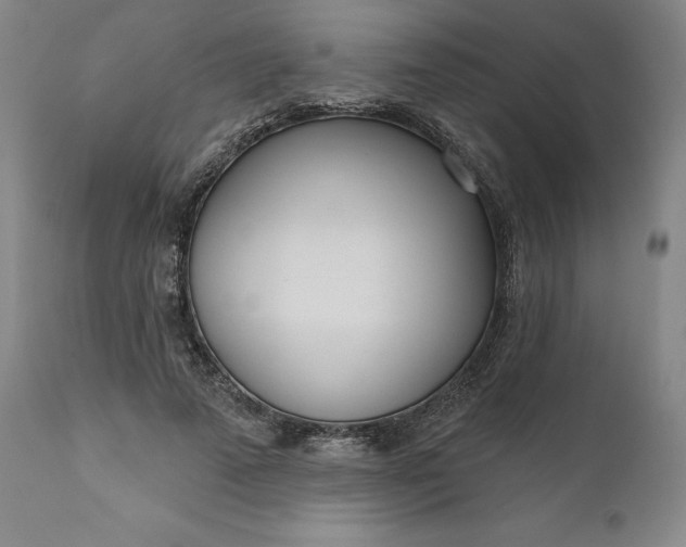 X0000111180689200907151324