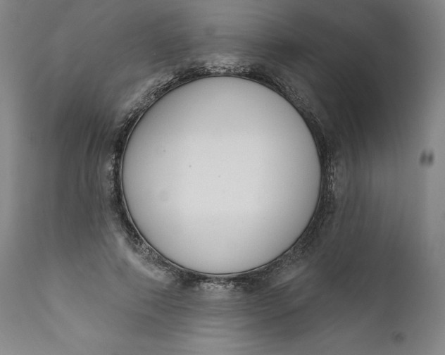 X0000111180690200907151324