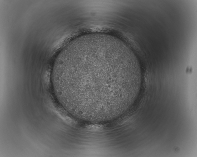 X0000111180691200907151324