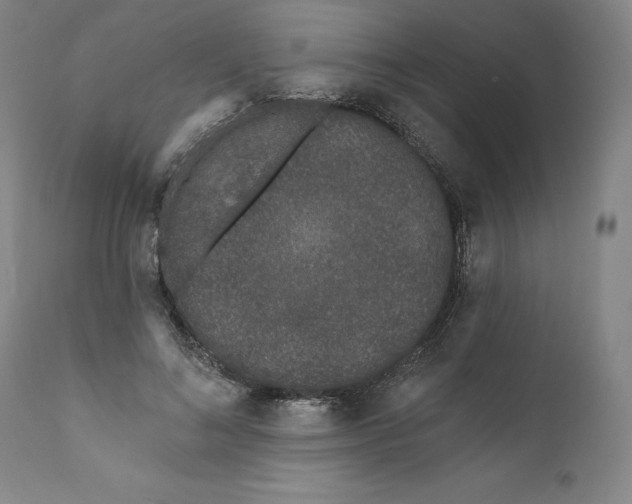 X0000111180692200907151324