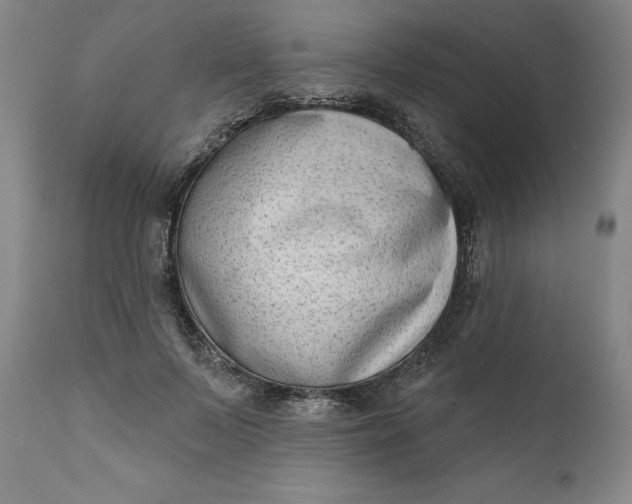 X0000111180695200907151324