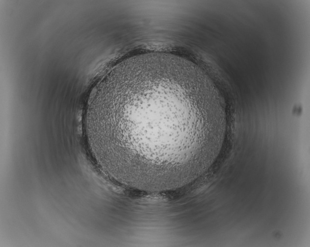 X0000111180696200907151324