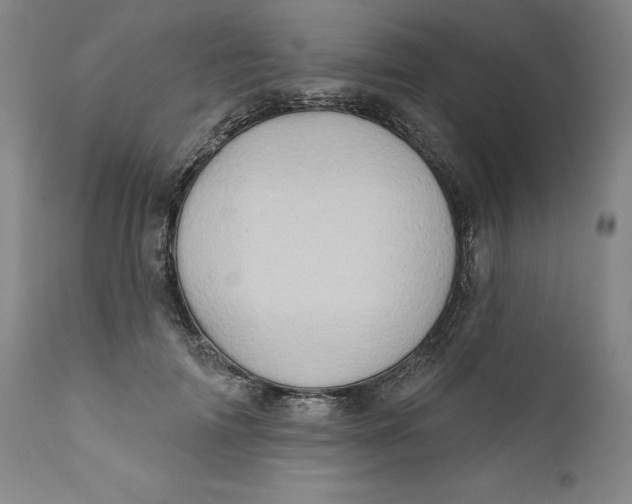 X0000111180698200907151324