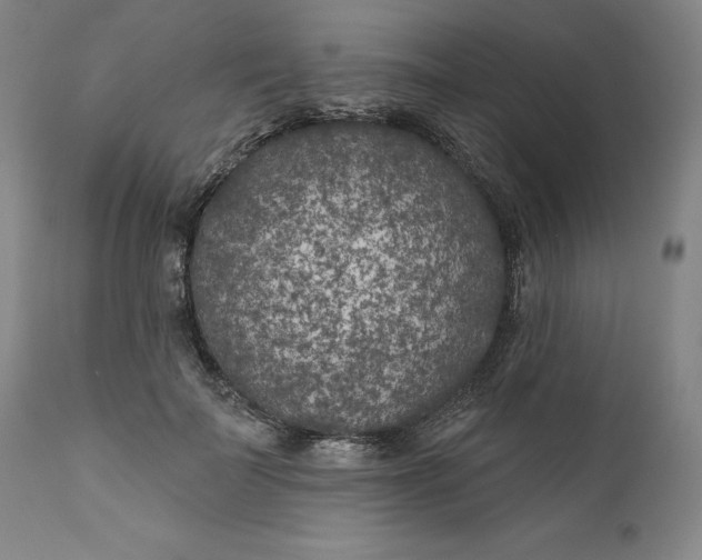 X0000111180699200907151324