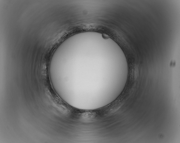 X0000111180700200907151324