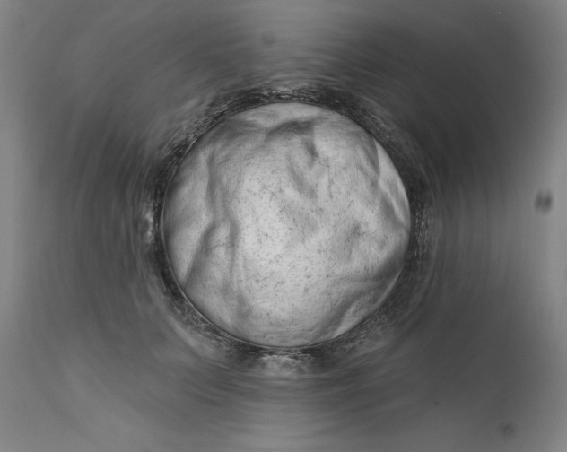 X0000111180703200907151324