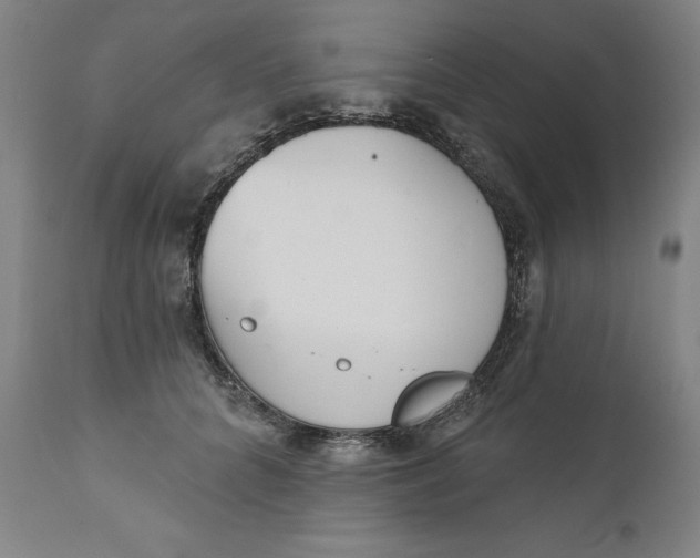 X0000111180704200907151324