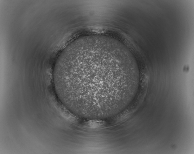 X0000111180707200907151324