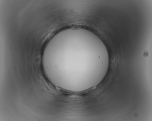 X0000111180708200907151324