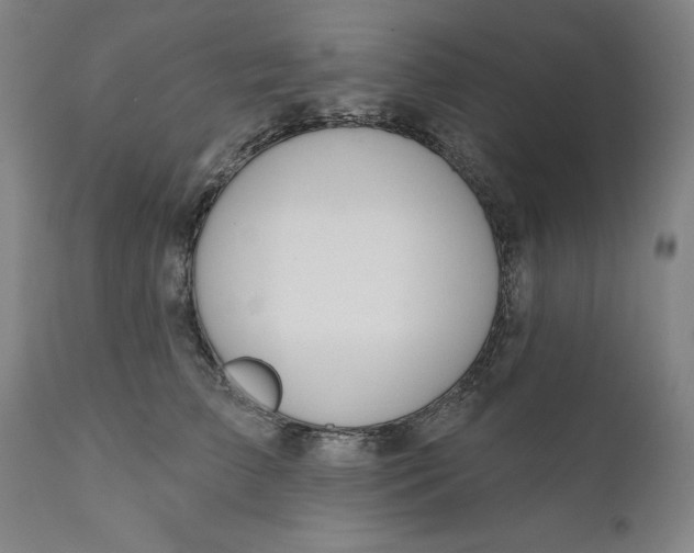 X0000111180709200907151324