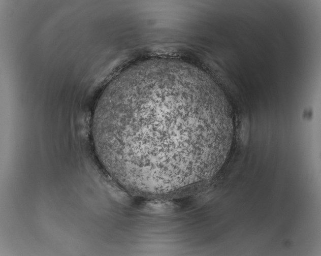 X0000111180712200907151324