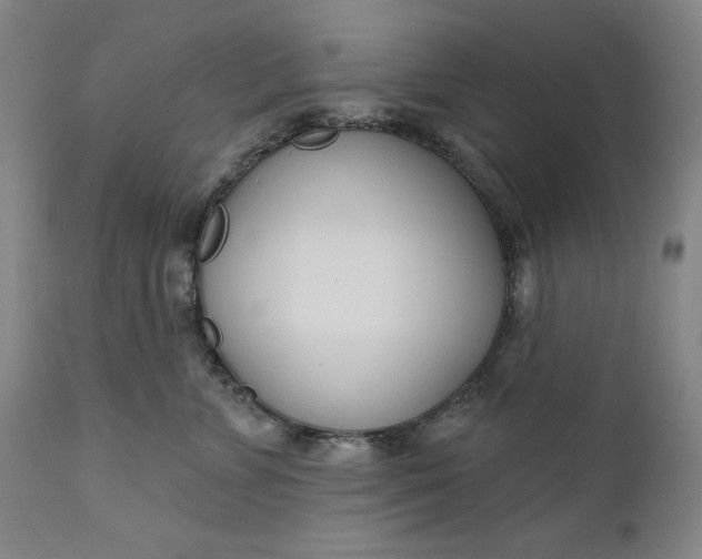 X0000111180715200907151324