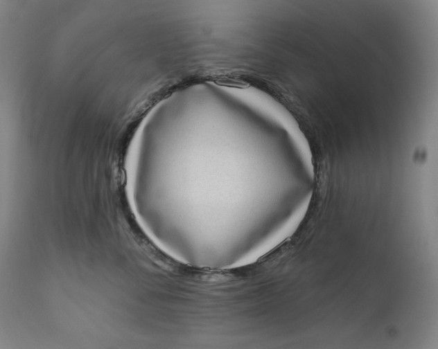 X0000111180716200907151324