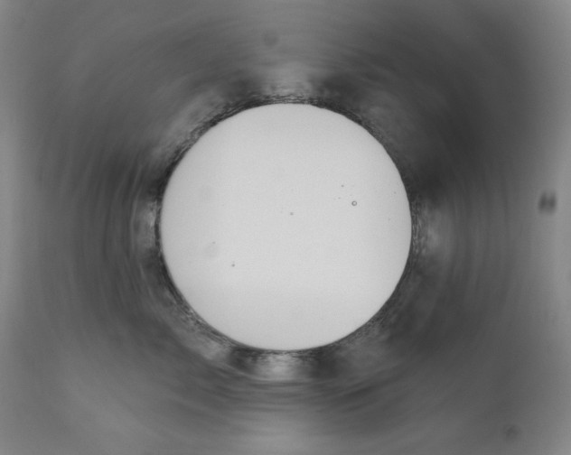 X0000111180717200907151324