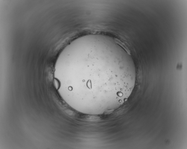 X0000111180719200907151324