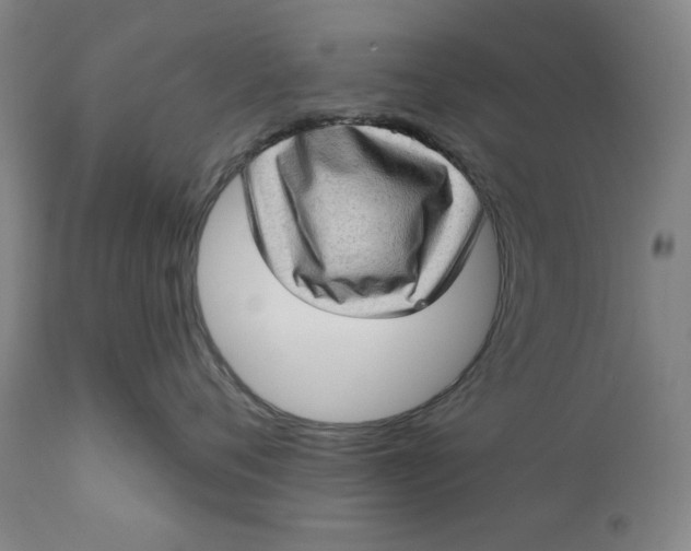 X0000111180720200907151324