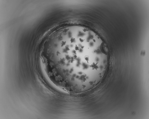 X0000111180722200907151323