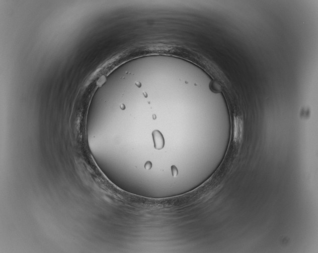 X0000111180723200907151323