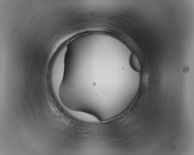 X0000111180724200907151323