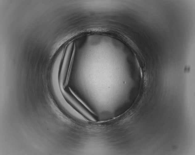 X0000111180725200907151323