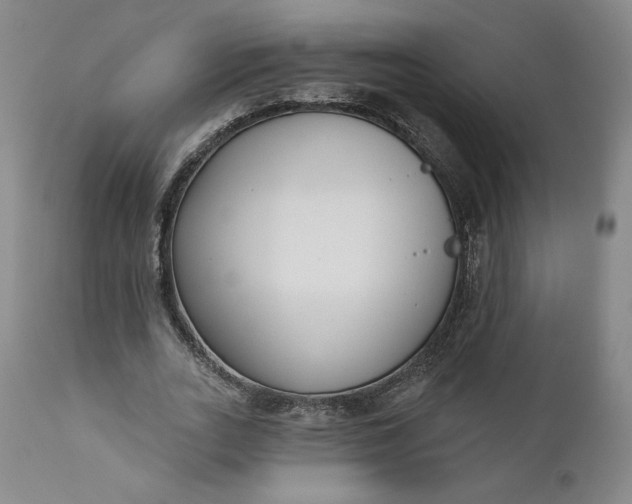 X0000111180727200907151323