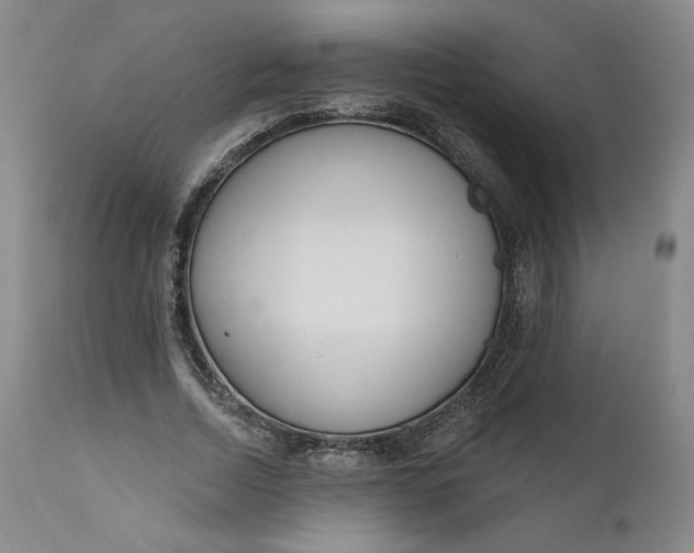 X0000111180730200907151323