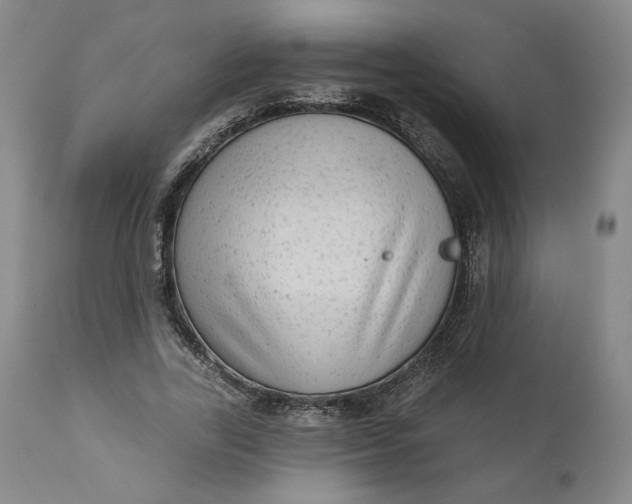 X0000111180731200907151323