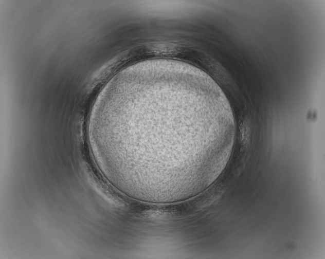 X0000111180733200907151323