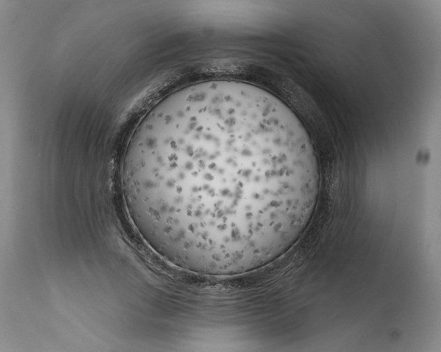 X0000111180735200907151323