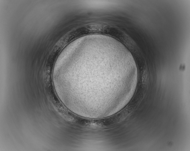 X0000111180737200907151323