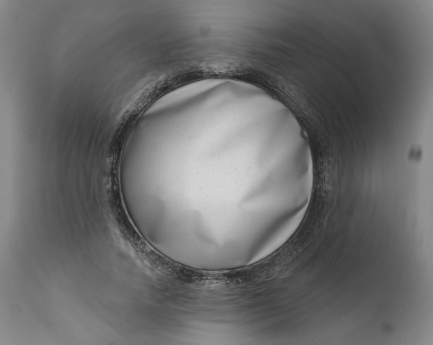 X0000111180738200907151323